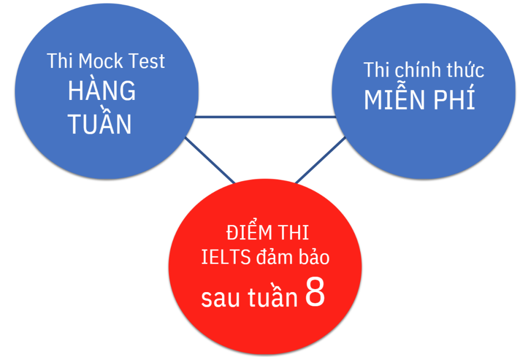 quy-trinh-hoc-ielts-dam-bao-tai-pines-chapis