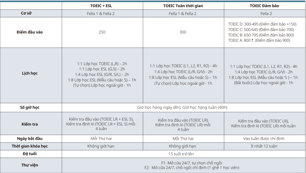 khoa-toeic-tai-fella