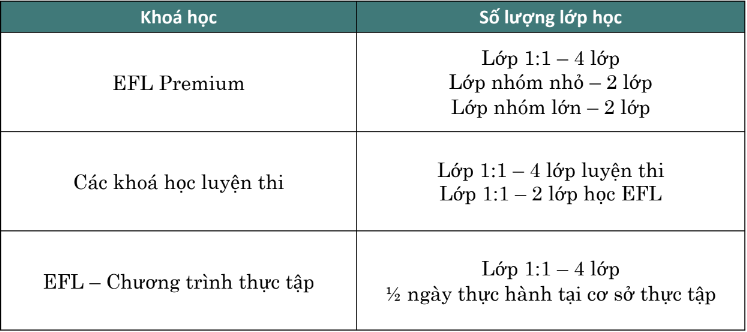 Chương trình học tại trường Anh ngữ LLC